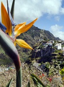 Madeira-Reisen